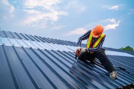 Best Roof Maintenance and Cleaning  in Mustang Ridge, TX